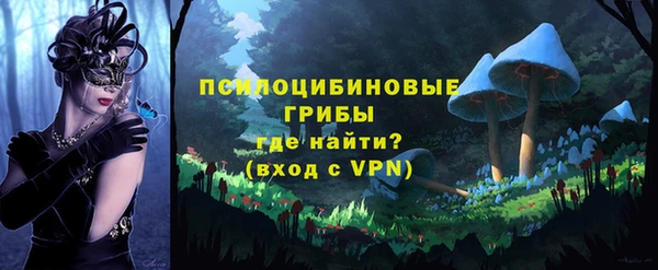 PSILOCYBIN Алексин