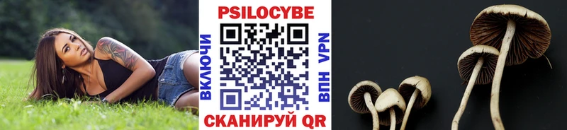 Псилоцибиновые грибы ЛСД  OMG ссылки  Тольятти 