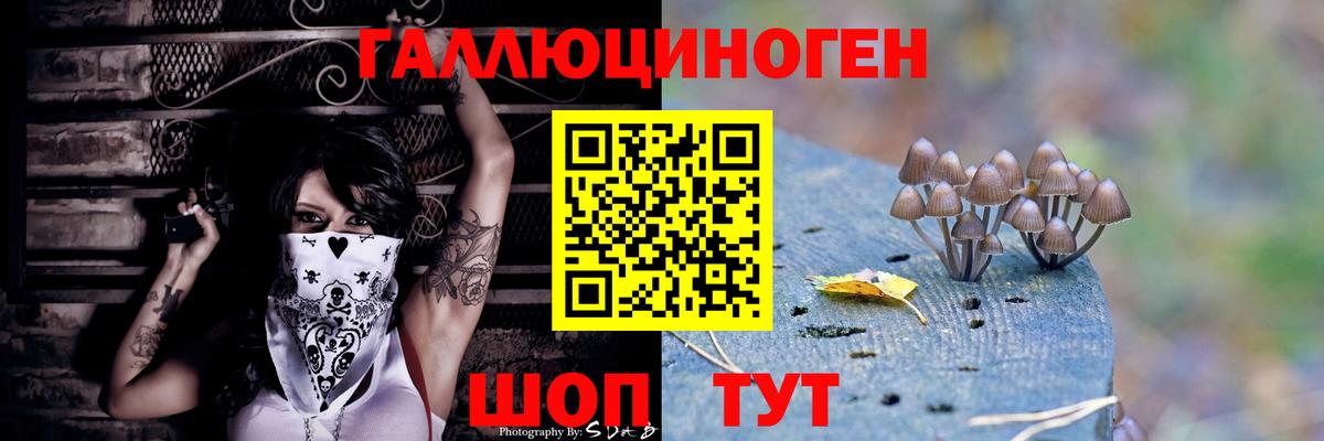 Псилоцибиновые грибы GOLDEN TEACHER  Вход с VPN  Тольятти 
